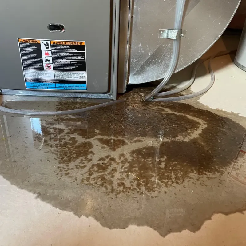 Appliance Leak Cleanup in Eleanor, WV