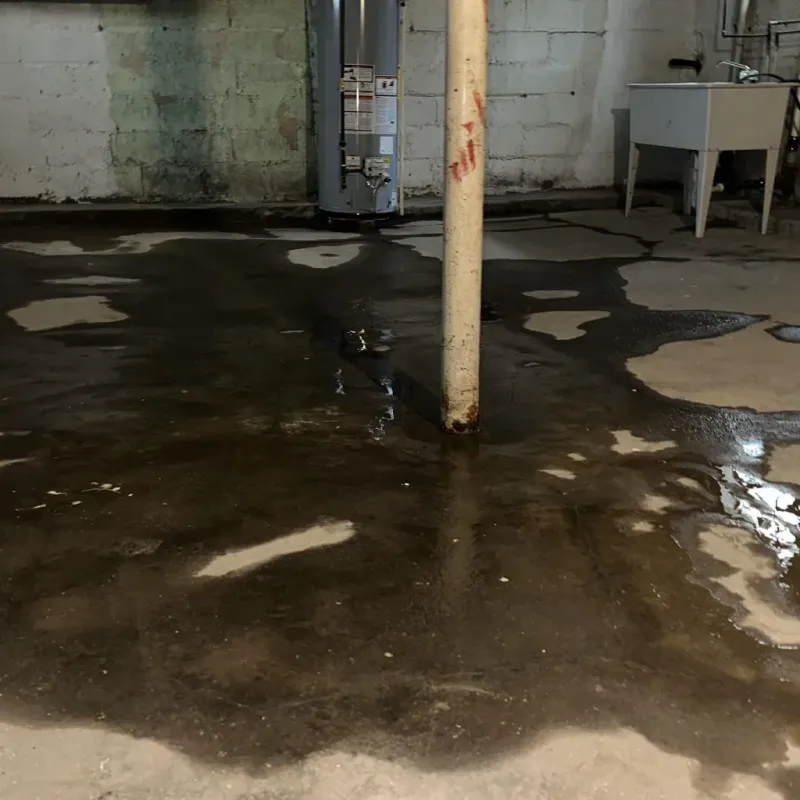 Emergency Water Extraction And Removal in Eleanor, WV